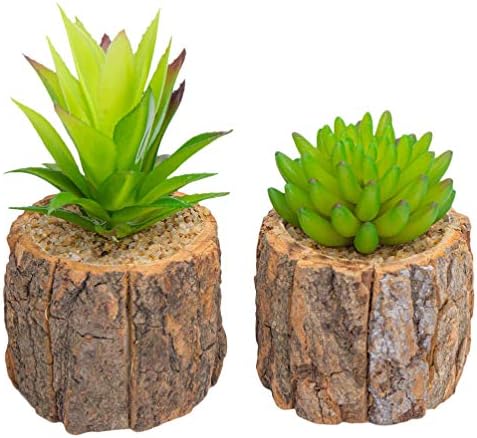 Garneck - Lote de 2 plantas suculentas artificiales falsas para plantas de cactus o cactus en maceta de aloe e e interior, decorativa, bonsái, plantas pequeñas y realistas, para oficina de