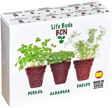Kit minihuerto urbano terraza plantas aromáticas | Semillas albahaca, semillas perejil y semillas eneldo | Mini huertos niños | Huerto urbano niños |