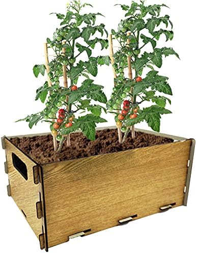PLANTAWA Kit de Siembra para Tomates, Kit de Cultivo para Huerto Urbano, Jardinera Interior para Casa, Kit Cultivo de Plantas Naturales Tomates Frescos