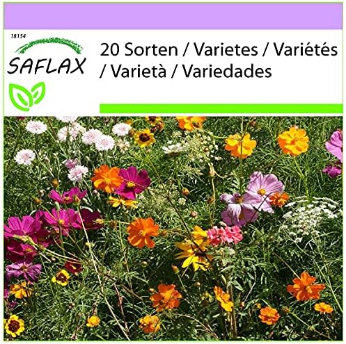 SAFLAX - Un prado de flores cortadas - 1000 semillas - 20 Wildflower Mix