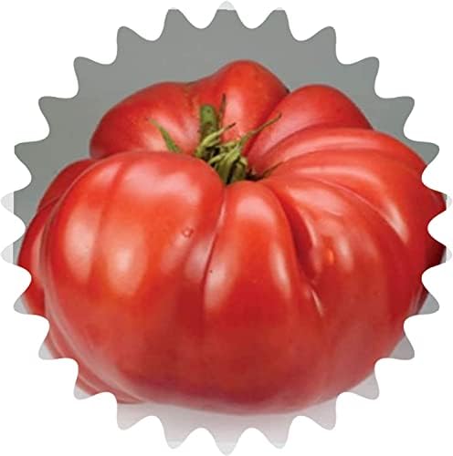 Semillas de tomate "gigante rojo jugoso" / 50 semillas / tomate gigante / semillas de verduras / autocuidado