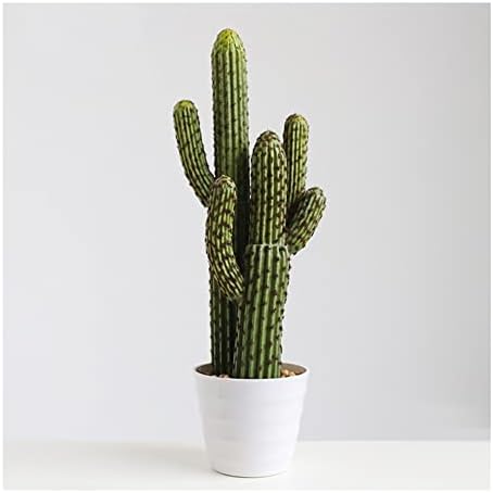 WYFC Grandes Plantas Falsas, Cactus Artificiales con macetas, sin Mantenimiento, Plantas Verdes Falsas for Sala de Estar Decoración del Dormitorio del balcón (Color : 24.4in)